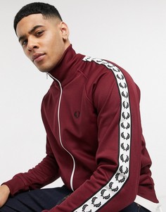 Бордовая олимпийка с лентой Fred Perry-Красный