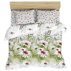 Постельное белье 1.5-спальное Василиса