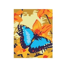 Рыжий кот Картина по номерам "Бабочка в цветах" 30x40 см (KTL730)