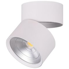 Спот Feron AL520 32461