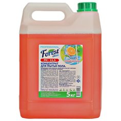 Forest Clean концентрат для мытья пола Сочный апельсин, щелочной 5 кг