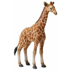 Фигурка Collecta Жеребенок Сетчатого Жирафа 88535