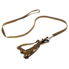 Шлейка с поводком Пижон рельефная черный/желтый