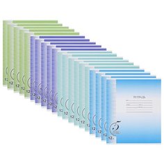 Action! Упаковка тетрадей "Только на пять!" AN1202/4ma-5/20, 20 шт., косая линейка, 12 л.