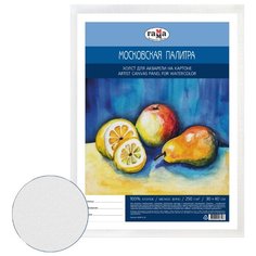 Холст ГАММА Московская палитра на картоне 30х40 см (060918_02) Gamma