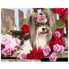 Рыжий кот Картина из пайеток Красивая собачка SP20029