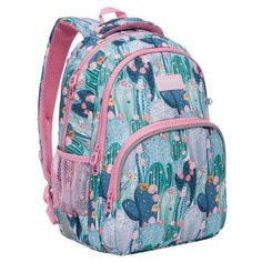 Grizzly Рюкзак RG-060-1, кактусы