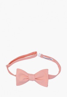 Бабочка Rainbowtie