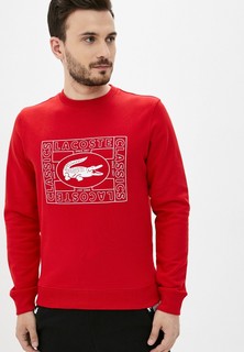 Свитшот Lacoste