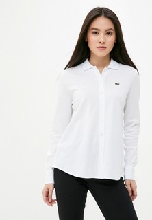 Поло Lacoste