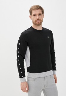 Свитшот Lacoste
