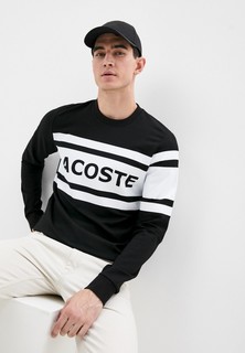 Свитшот Lacoste