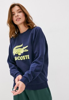 Свитшот Lacoste