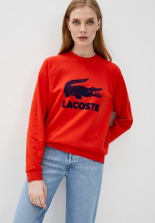 Свитшот Lacoste