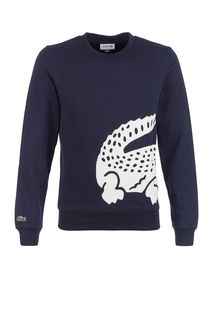 Синий хлопковый свитшот с декоративным принтом Lacoste
