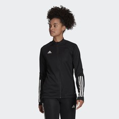 Олимпийка Condivo 20 Training adidas Performance