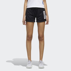 Шорты Colorblock adidas Performance