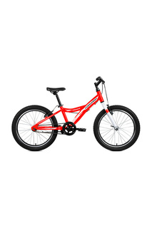 Велосипед Comanche 20 1.0 Forward