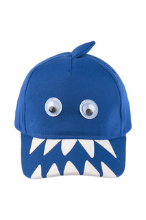 Кепка для мальчиков 5.10.15.