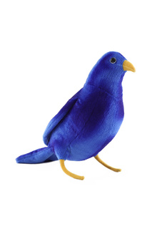 Синяя птица Hansa