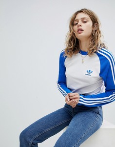Топ с синими рукавами реглан и тремя полосками adidas Originals adicolor-Синий