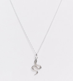 Серебряное ожерелье со змеей Kingsley Ryan-Серебряный