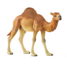 Фигурка Schleich "Одногорбый верблюд"