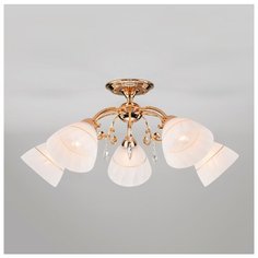 Люстра Eurosvet Camilla 30156 5