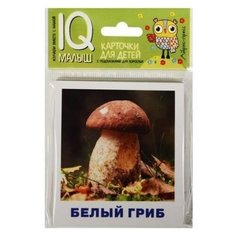 Набор карточек Айрис-Пресс