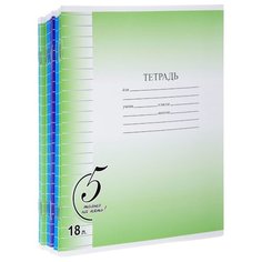 Action! Упаковка тетрадей