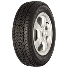 Автомобильная шина КАМА