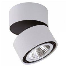 Спот Lightstar Forte Muro 213839