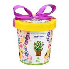 Набор для выращивания Happy Plant Горшок подарочный Анютины глазки