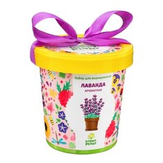 Набор для выращивания Happy Plant Горшок подарочный Лаванда ароматная