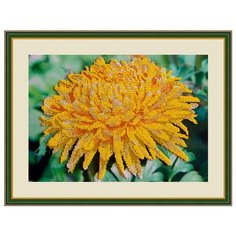 Galla Collection Набор для вышивания бисером Герберы 32 х 22 см (Л311)