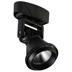 Спот Favourite Projector 1766-1U