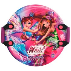 Ледянка 1 TOY Winx (Т57210) розовый