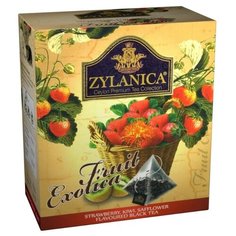 Чай черный Zylanica Fruit exotica с клубникой, киви и сафлором в пирамидках, 20 шт.