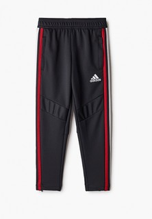 Брюки спортивные adidas