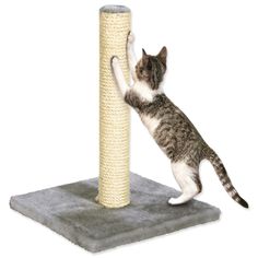 когтеточка-столб Нора серая 41*41*62 см Magic Cat