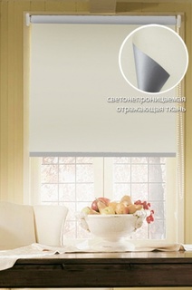 Рулонные шторы Eskar 89109160170 бежевый 170х16