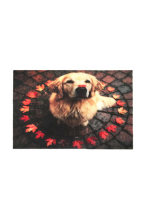 Придверный коврик 40x60 Giz Home