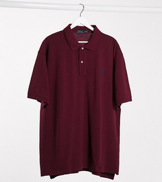Бордовая футболка-поло с логотипом Polo Ralph Lauren Big & Tall-Красный