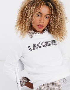 Свитшот кремового цвета с логотипом в клетку Lacoste-Кремовый