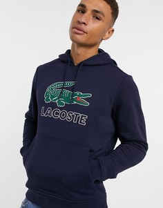 Худи темно-синего цвета с логотипом Lacoste-Белый