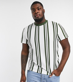 Футболка из органического хлопка в вертикальную полоску хаки ASOS DESIGN Plus-Зеленый