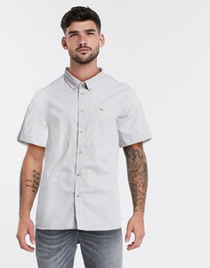 Рубашка в клеточку с короткими рукавами Lacoste-Белый