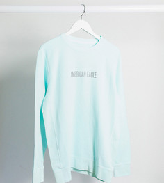 Голубой свитшот с логотипом American Eagle-Синий