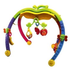 Развивающая игрушка Spring Flower Apple fun gym желтый/зеленый