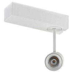 Трековый светильник-спот Donolux Petit DL18788/01M White